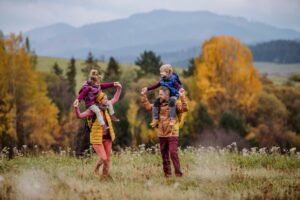 healthy families in minnesota