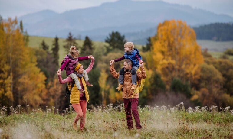 healthy families in minnesota