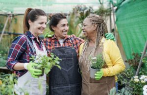 healthy women in minnesota